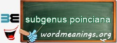 WordMeaning blackboard for subgenus poinciana